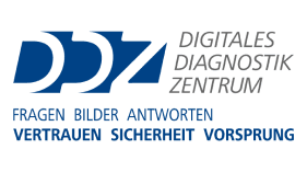 DDZ Logo